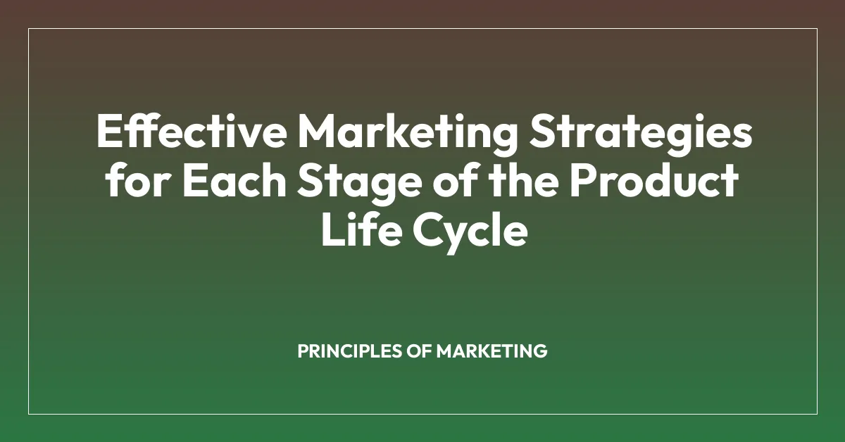 Effective Marketing Strategies for Each Stage of the Product Life Cycle